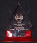 Midwest Music - PACC New Business Award